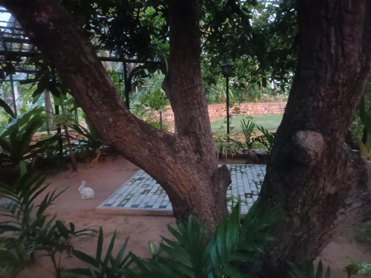 Lucky Beach Resort Trincomalee Ngoại thất bức ảnh