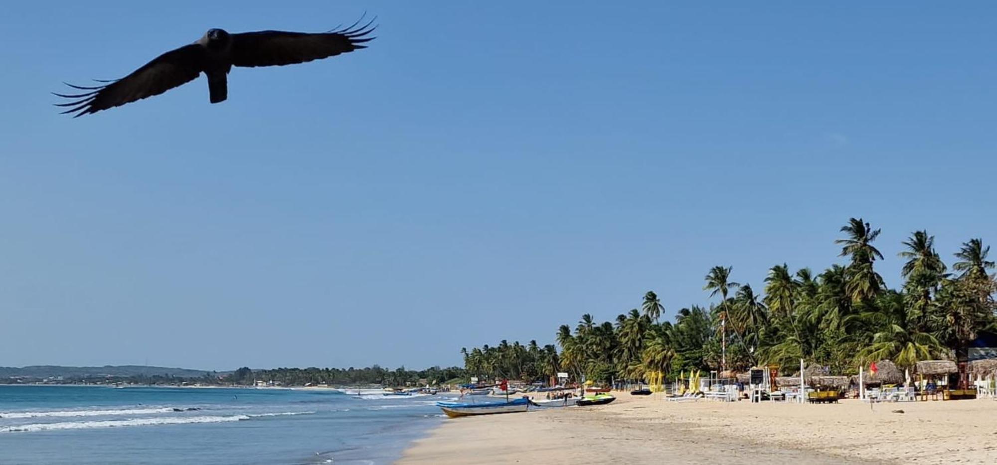 Lucky Beach Resort Trincomalee Ngoại thất bức ảnh